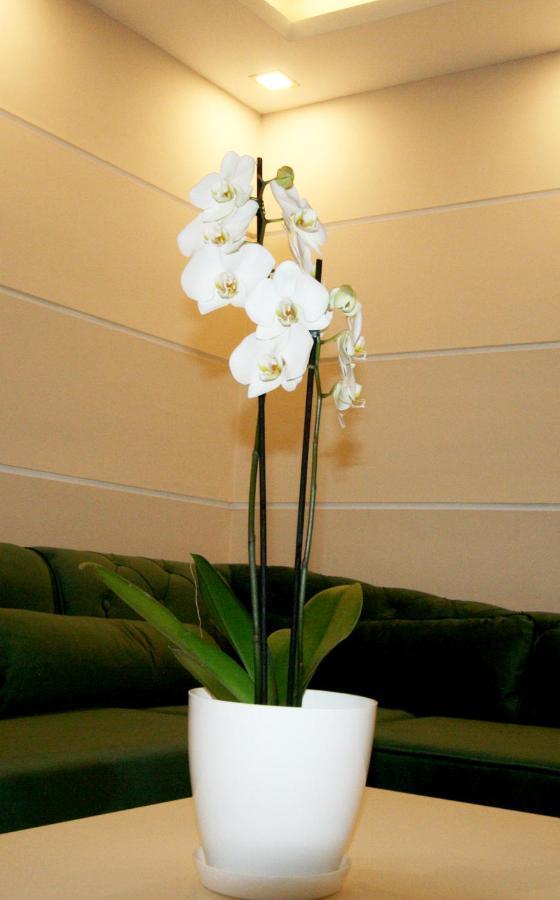 Apartment Jasmine 2 Beograd Bagian luar foto